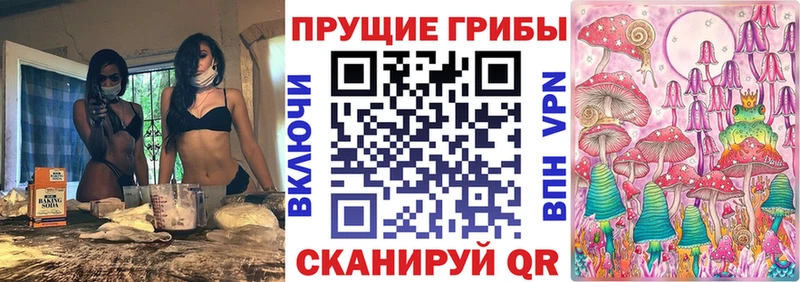 Купить где Великие Луки Галлюциногенные грибы Psilocybe